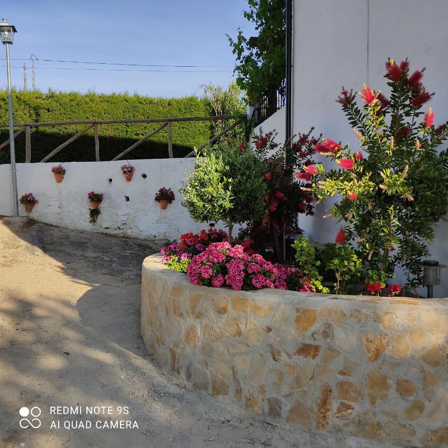 La Casa De La Abuela Setenil De Las Bodegas Exterior foto