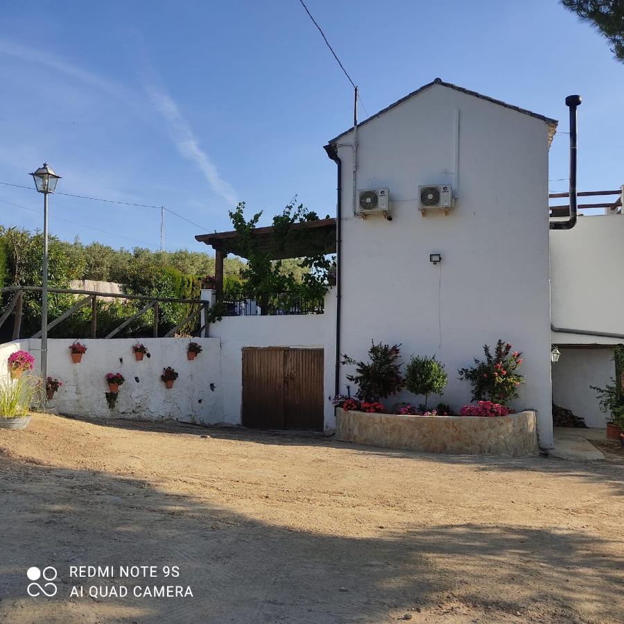La Casa De La Abuela Setenil De Las Bodegas Exterior foto